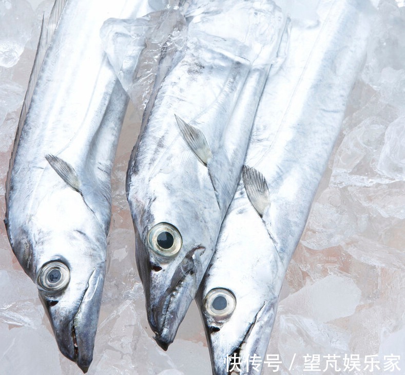 黄眼睛|黄眼睛和黑眼睛的带鱼哪种好吃海边人教你,只选对的不选贵的