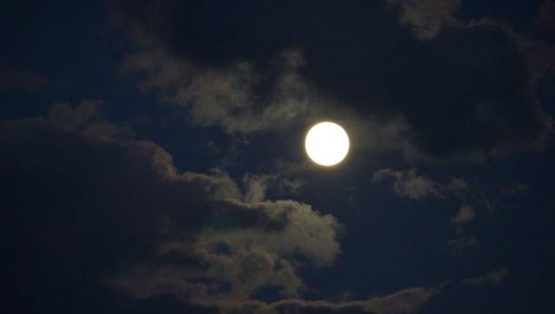 人陷害|《全宋诗》里很孤独的一首诗,每一句都很忧愁,但是没有一个愁字