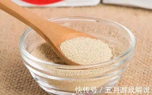 用酵母粉养花,让花卉长得更加茂盛,叶子也更加有光泽