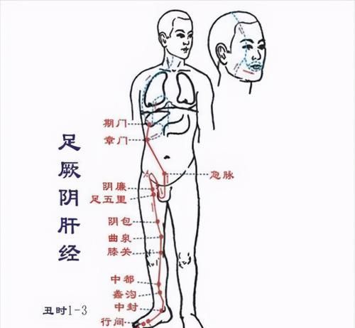  不相顺接|什么是厥阴病？怎么治疗