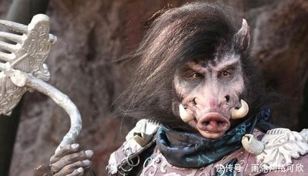兄弟|昔日的天蓬元帅,不幸落入猪圈,但为何要咬死猪母和兄弟