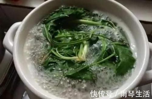 洗头|这种野菜洗头洗脚很厉害,祛湿杀菌灭脚气,不妨尝试一下!