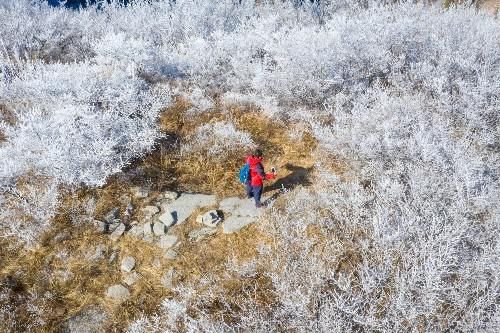 老年|大年初四济南南部山区自驾游，在彩西路旁的劈山邂逅雾凇奇观