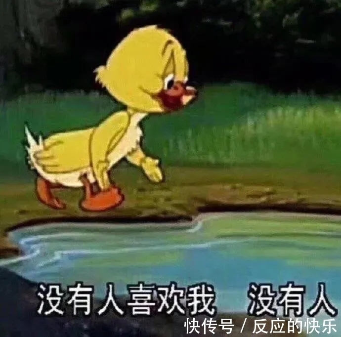 |新版搞笑表情包合集：“你生是我的大肥猪，死是我的五花肉”