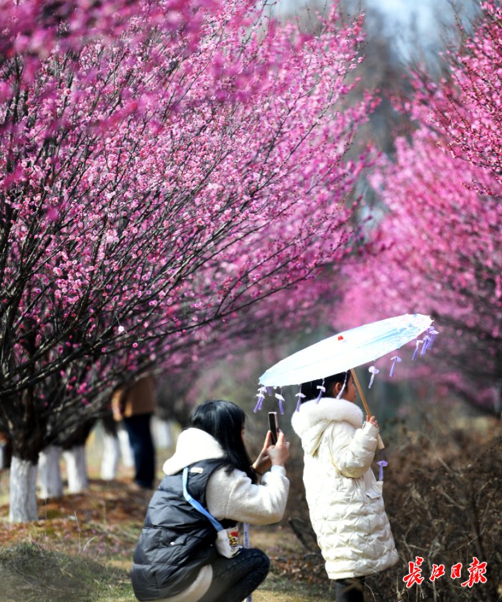 厚衣服先别收！三天降温11℃，又一波冷空气来了