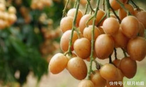 爱美女性担心老太快，要坚持吃3种食物，补充营养、增强体质！