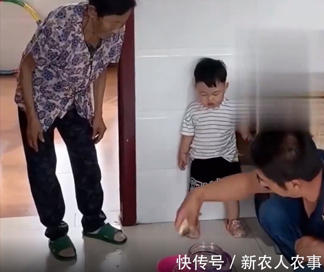 养鱼|内蒙古一熊孩子摊上事了,用爸爸的酒缸养鱼,网友:奶奶在,不怕