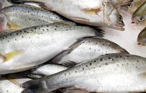 鲈鱼|同样是鲈鱼,海鲈鱼和淡水鲈鱼有什么区别以后别再买错了