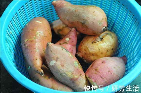早上空腹时吃点,提高免疫力,建议人到中年要多吃!