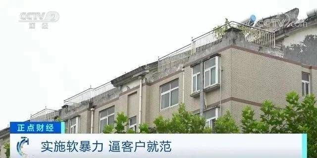 小莹网登录