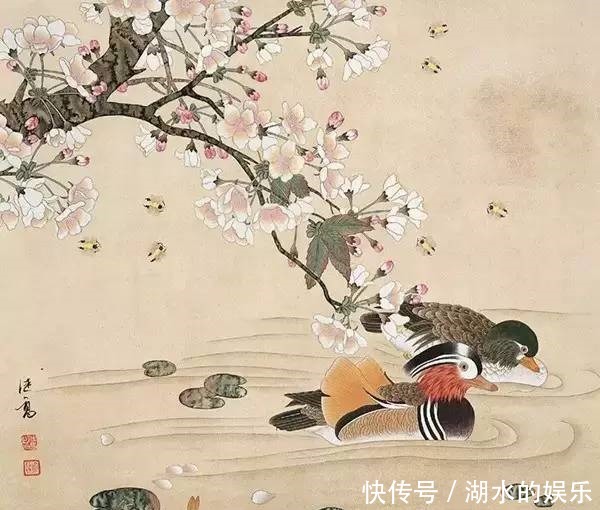 好漂亮的鸳鸯戏水图:祝愿天下有情人!