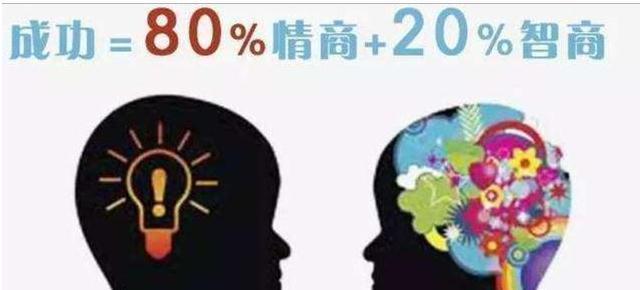 刘女士|白岩松:情商比智商更为重要,常对孩子说这4句话,娃情商不会低