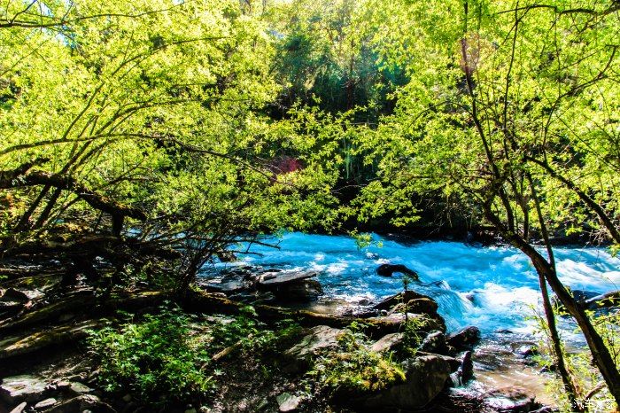 枯树滩|东方圣山，户外天堂——四姑娘山自驾徒步之旅