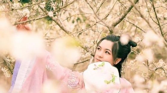 书生!才女用上联表白:“掰开石榴,红门中多少酸籽”,对出下联后成婚