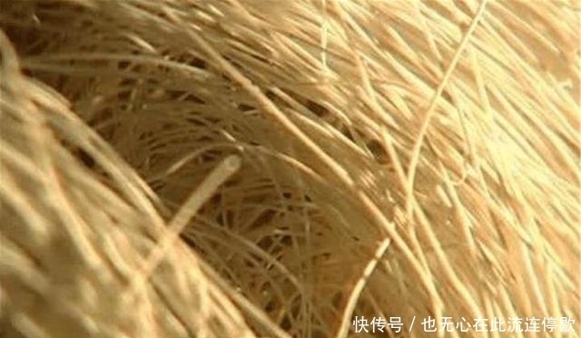 直呼|农村老人捡到长满白发的石头,专家见了直呼:立刻封锁整个村庄