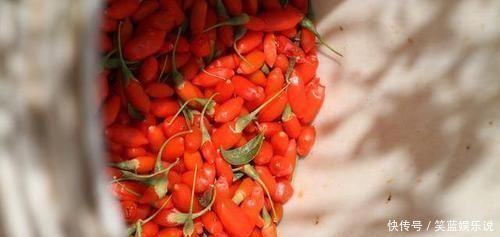 日常生活中|黄芪加一物,连喝一周,或能补气护肝,美容养颜,肾脏越来越强壮