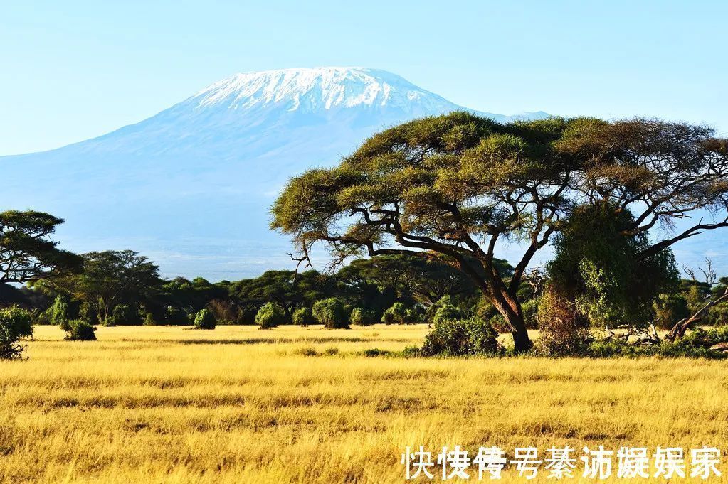 乞力马扎罗山|乞力马扎罗，一座正在消失的非洲最高雪山！