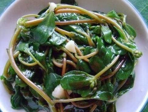 野菜|立秋后，不妨多食一野菜，清热解毒，杀菌消炎，降血压，了解下