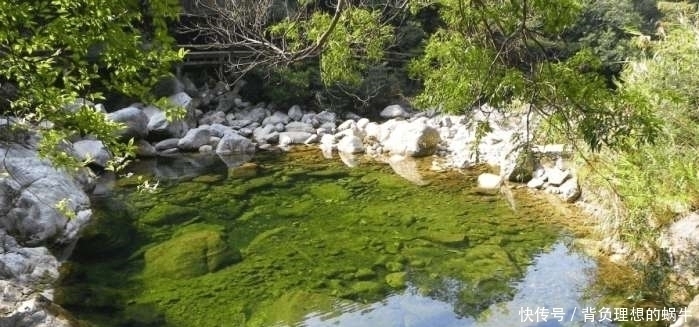 原始森林|200公里的十万大山，20年接待200万游客，一张门票35元