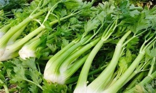 抗衰|秋天养生不妨坚持吃3种食物,补充营养,排毒抗衰,滋补身体