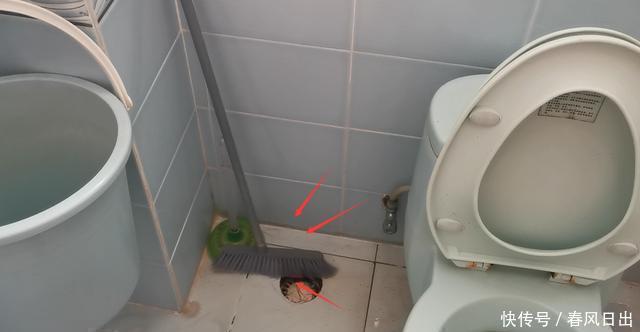 放错|3个地方不要放扫帚,不是迷信,放错了立马回家拿走