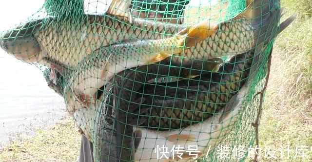 鳊鱼|浅谈秋天钓鱼的天气,对应目标鱼和钓位,选准才有好收获