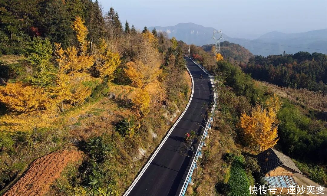 公路|这条藏在远安的旅游公路，惊艳了秋天，美成了童话