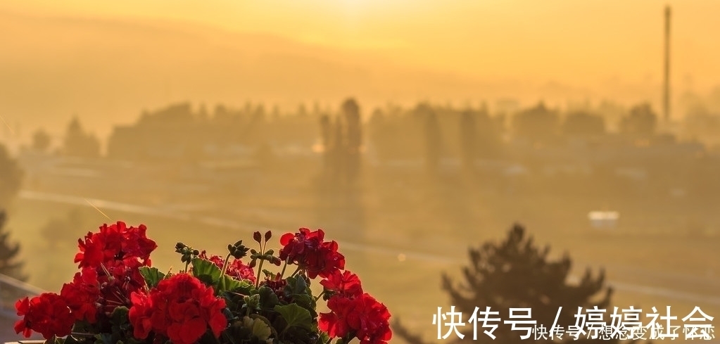 gdp|买房应选“一期房”，两个好处会让你受益