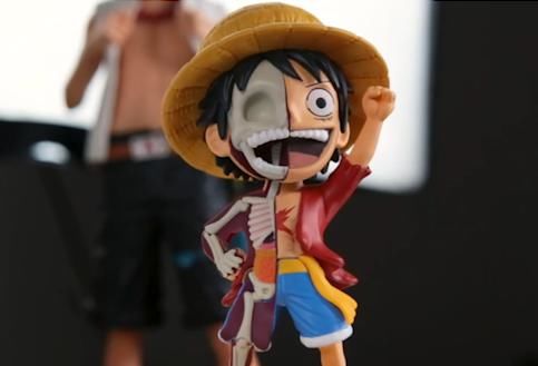 半解剖海贼王露骨手办，有机会免费拿了