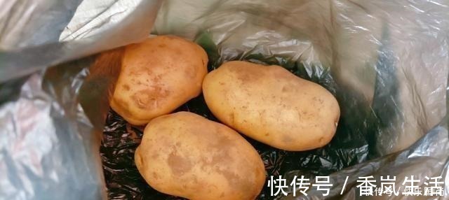 蒸土豆|土豆芽能吃吗小贴士教你如何防止他发芽,你可以放心地储存土豆