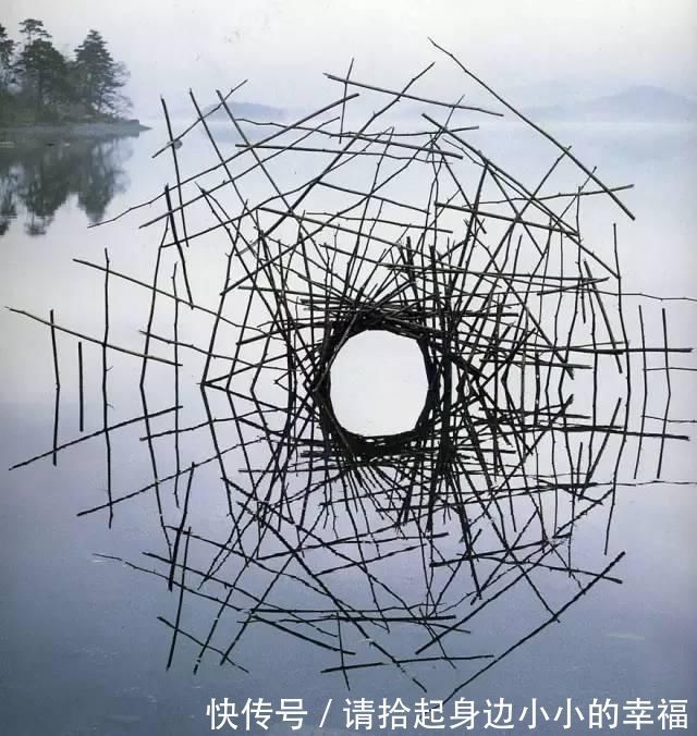 艺术家|他用最简单的树叶、石头、羽毛,建了一座美到极致的自然美术馆