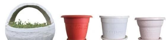 垃圾分类家中绿植垃圾分类我到底是个什么垃圾