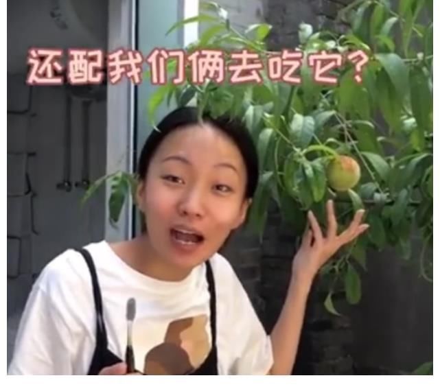 |4200万粉的网红,凭搞笑出圈,不开橱窗不卖货,难得的人间清醒