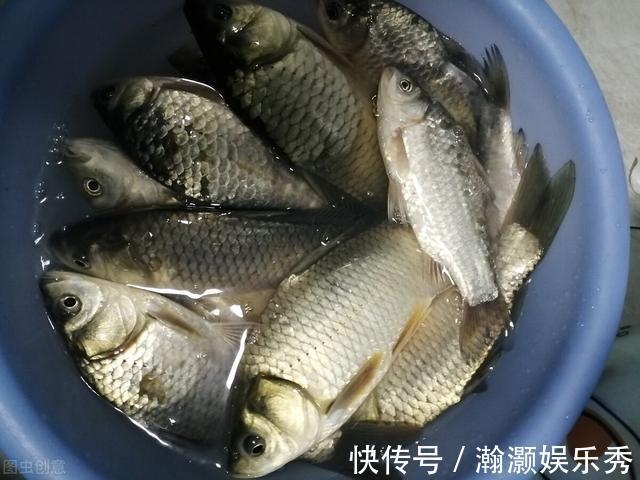 一套冬季钓鲫鱼的黄金公式,适用任何自然水域,从选点标准到垂钓