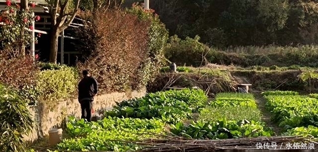 荆楚名山下600年老村，房屋像别墅，70岁老汉一年收租8万5！