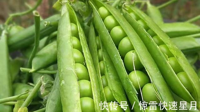 肉末|冬天多吃这6种食物,孩子少生病身体棒,有钱没钱都要常备一些!