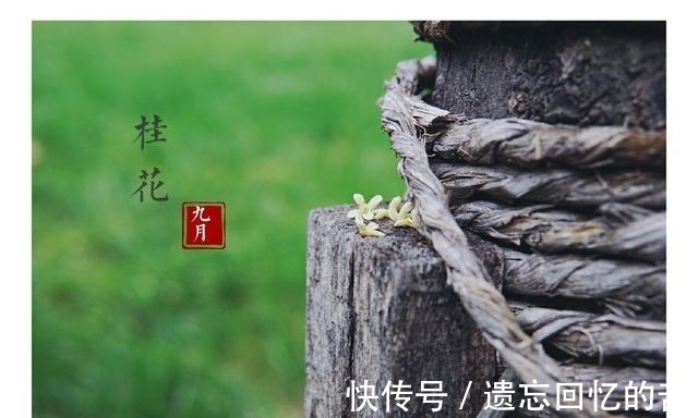 月老|天上人间，真爱不断，月老牵线，相伴一生，幸福终老