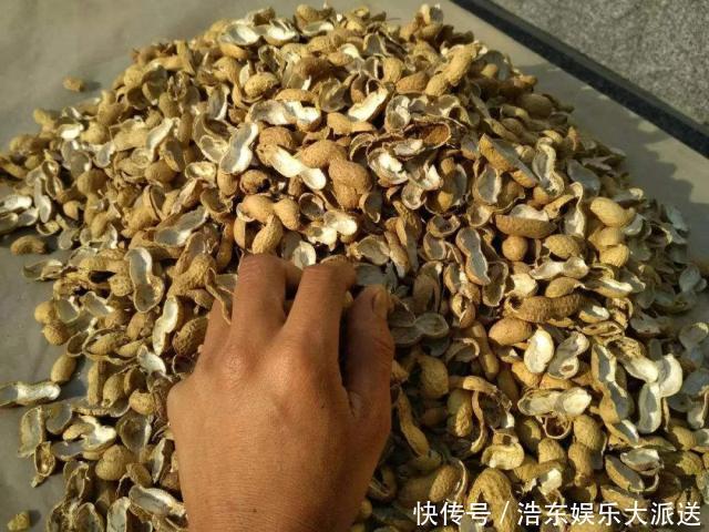 养花还买花肥家里的此几样“垃圾”扔盆里,植物叶油绿、开花艳