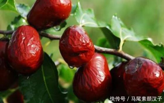 不想早衰的女性,3种水果尽早吃,排毒减肥、肌肤更有光泽