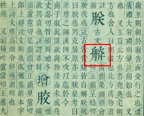 专家|中国共有494位皇帝，为何都用“朕”自称，专家：拆开念就明白了