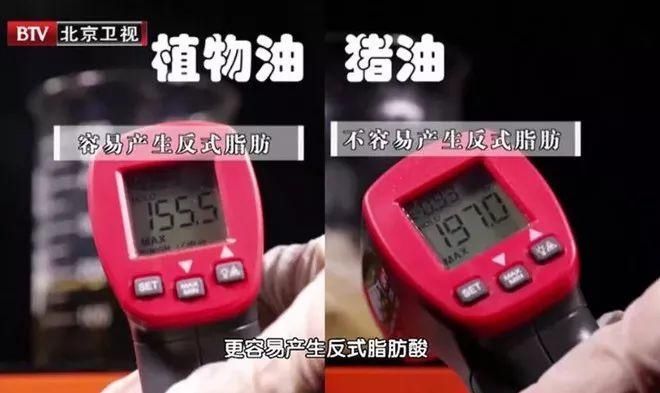 科学养生 ▏中国人吃了两千多年猪油，它真的是三高“元凶”吗？