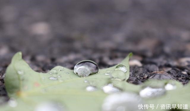 一声声一更更，点滴芭蕉心欲碎，7首古诗词，听雨落下的声音