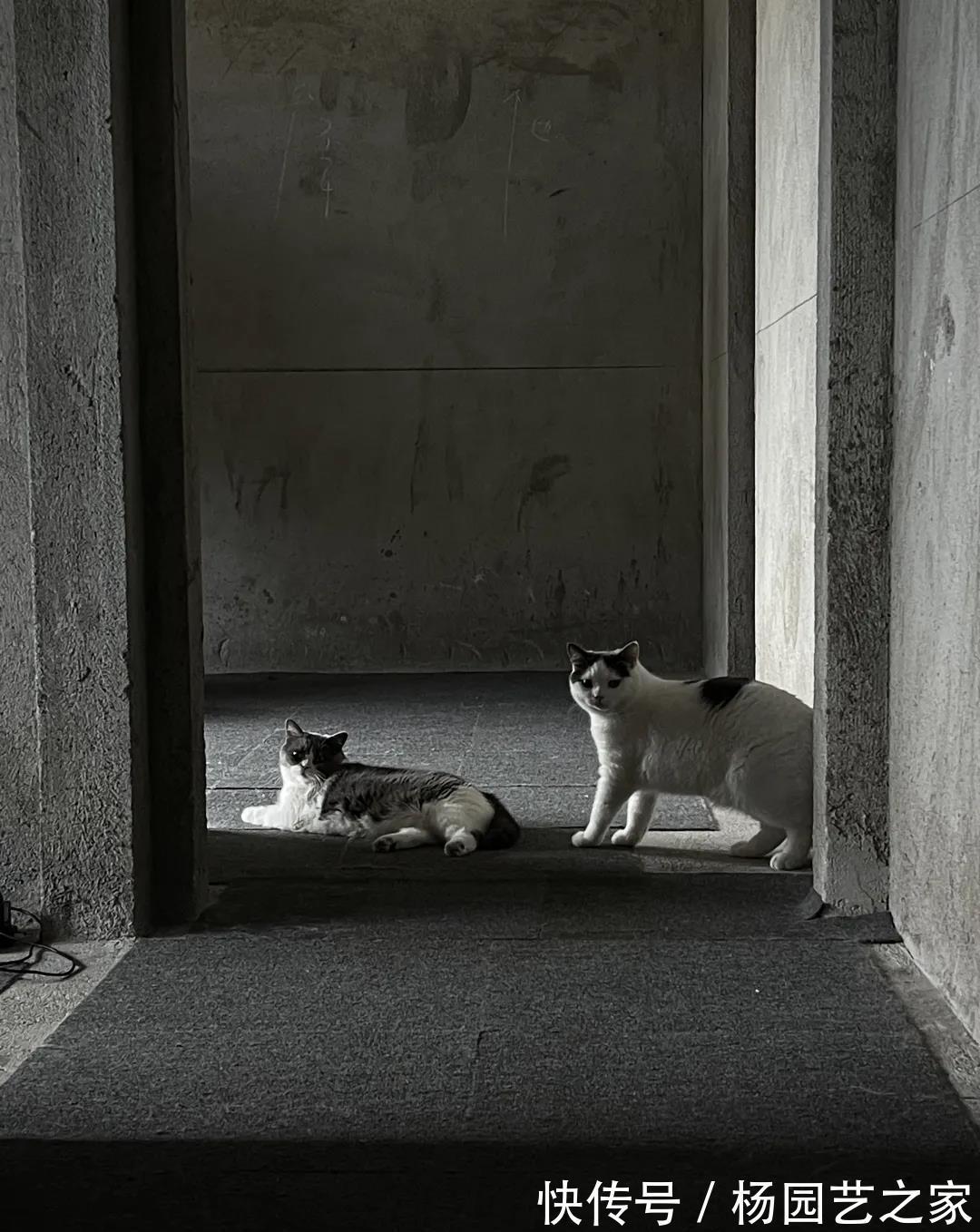 工业风|没钱装修，直接住进毛坯房里，这对夫妻的“原始生活”却意外走红