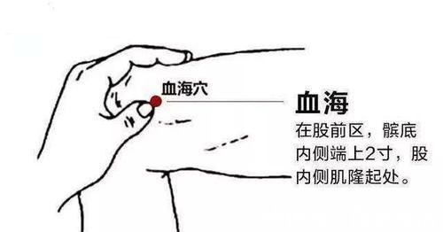 五味子|肾虚血瘀是老年人生病的根源所在！国医大师教你3招，补肾又活血