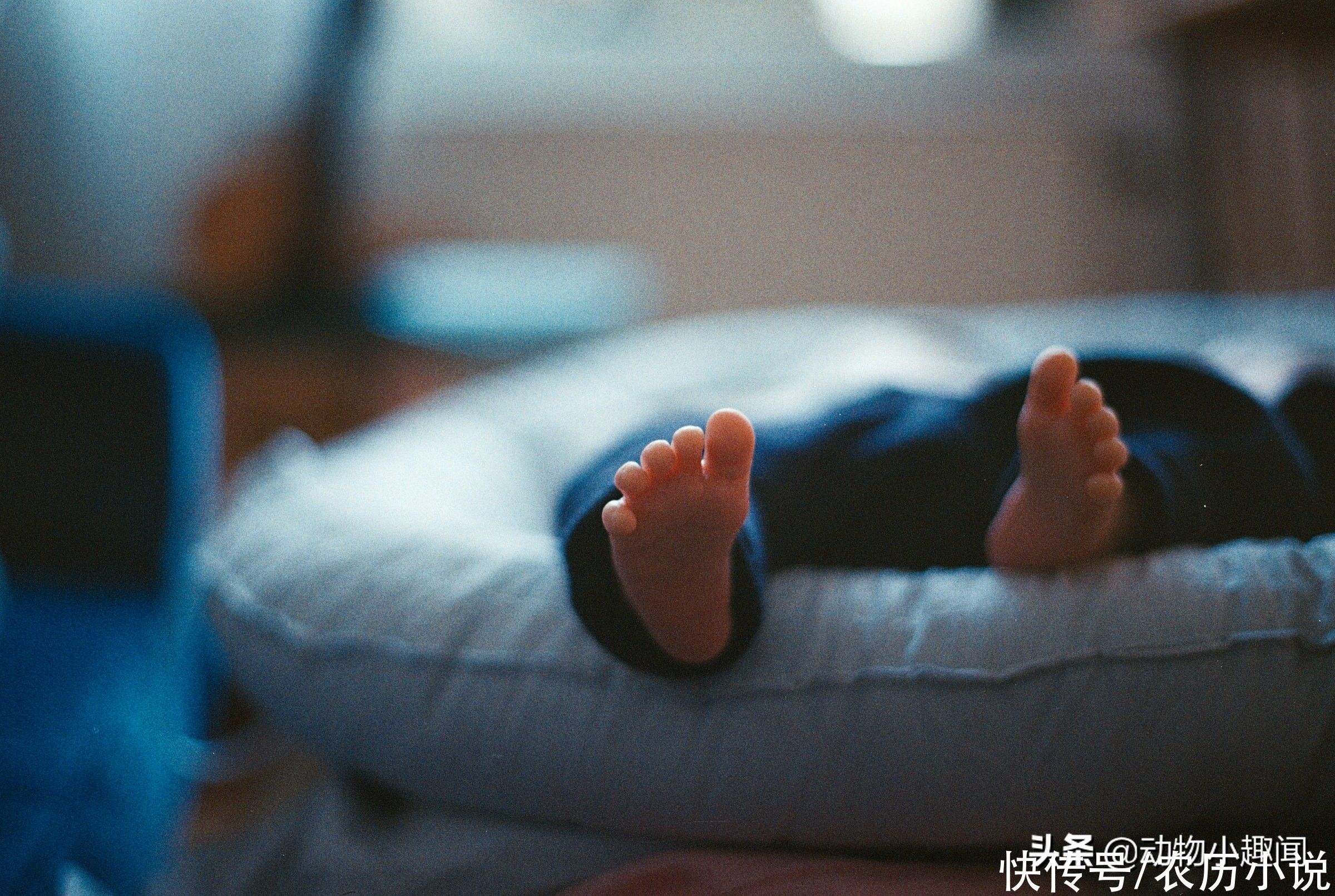 大学生宿舍|女大学生宿舍生娃,男方淡定回应,这是第二胎