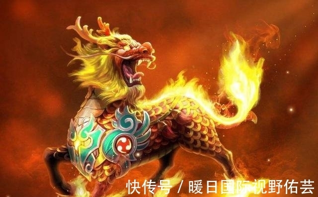 老虎#老一辈说“虎生三子,必有一彪”,似虎非虎的彪,有何特殊之处?