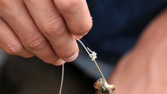 农村人钓鱼竟用这五种饵料,第一种城里人想不到!你用过几种?