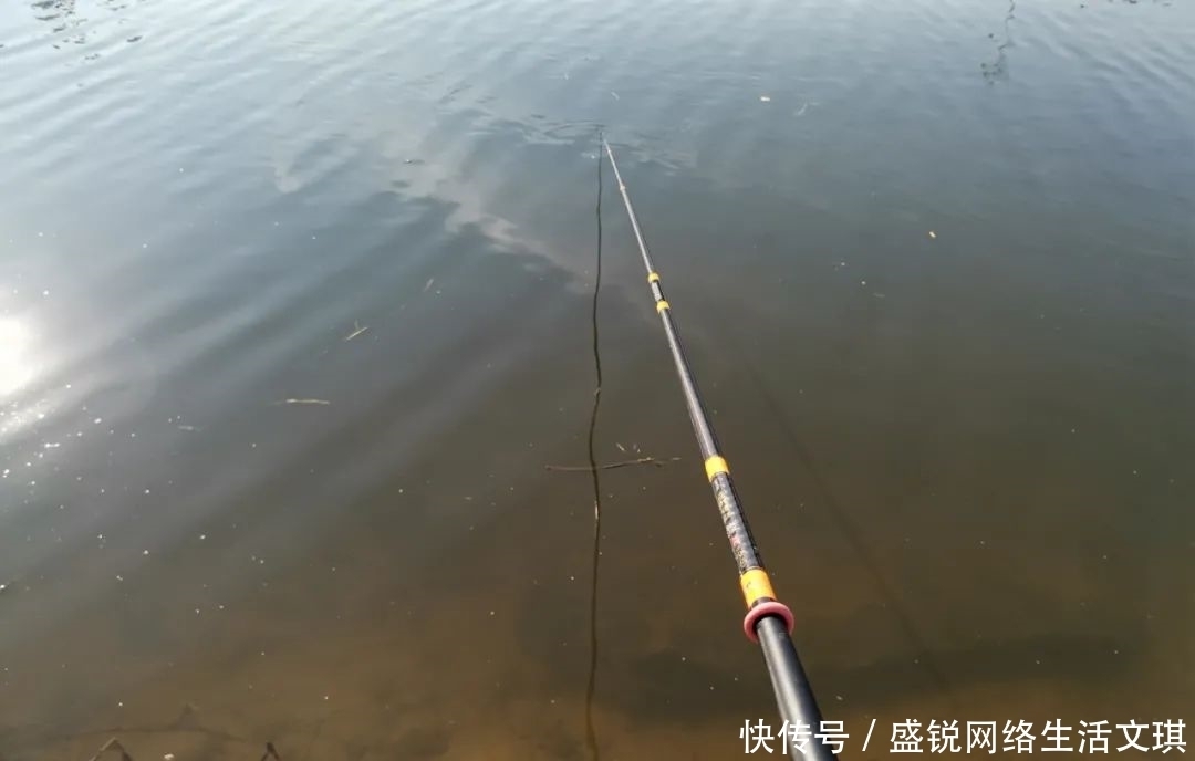 谁说钓鱼找底不重要？它的作用可不仅是为了调漂，绝不可省略