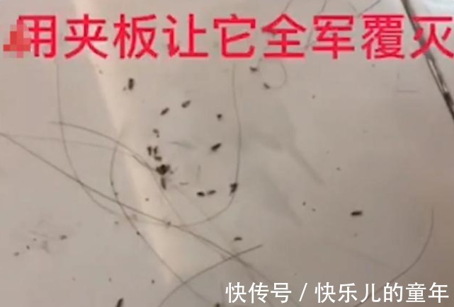 画面|女儿住校被传染头虱，妈妈找来热夹板一夹，画面引起舒适