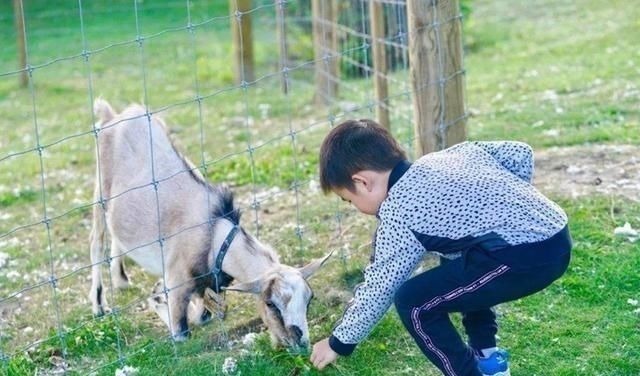 家长|这3种“中国式礼貌”正在慢慢毁掉你家孩子,父母别再沾沾自喜了